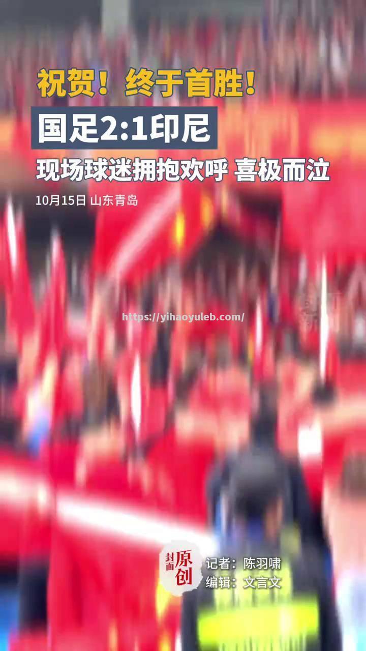 工体球场上海绿地申花取胜大连一方现场球迷欢呼